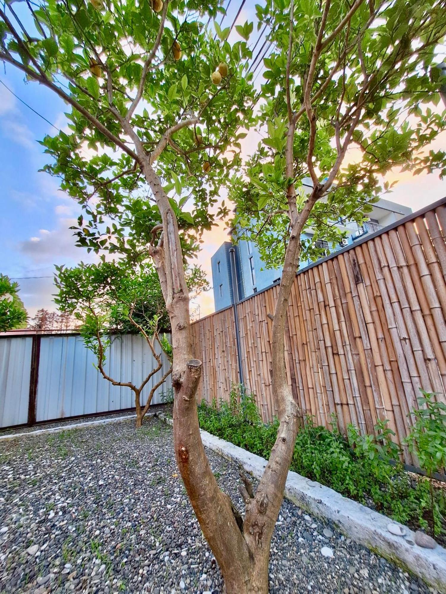 House In Gonio-Kvariati Economy Class Exterior photo