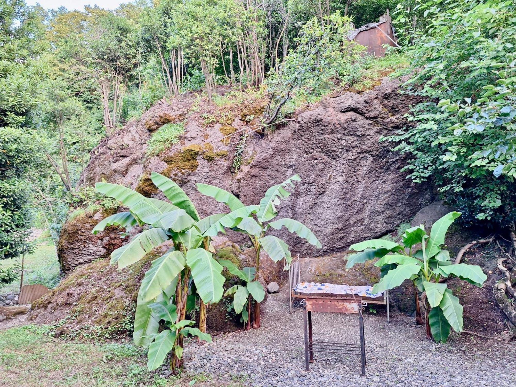 House In Gonio-Kvariati Economy Class Exterior photo